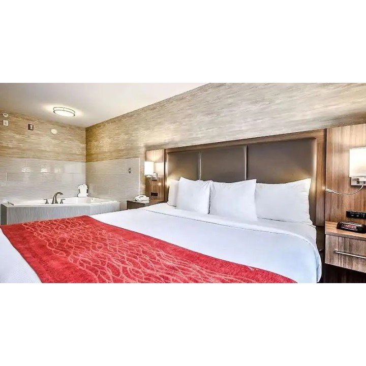 Comfort Inn & Suites South