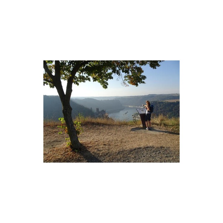 Eigene Anreise Rheinsteig: Historische Burgen, edle Weine, unvergessliche Aussichten