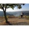 Eigene Anreise Rheinsteig: Historische Burgen, edle Weine, unvergessliche Aussichten