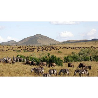 Rundreisen Kenia: Tierwelt, Tradition und Entspannung pur am Diani Beach