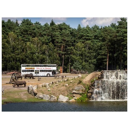 Eigene Anreise Hodenhagen: Familienabenteuer im Serengeti-Park Hodenhagen