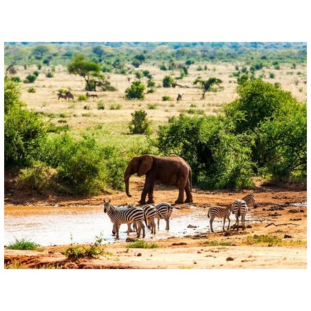 Rundreisen Kenia: Kleingruppen-Rundreise ab/an Mombasa