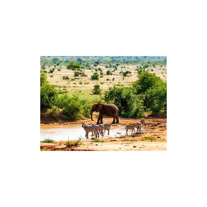 Rundreisen Kenia: Kleingruppen-Rundreise ab/an Mombasa