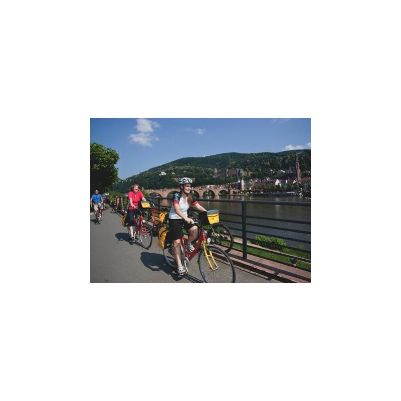 Eigene Anreise Rhein & Neckar: Radeln, wo Wein und Geschichte blühen