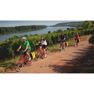 Eigene Anreise Pfälzer Weinsternfahrt: Radreise rund um Bad Dürkheim zwischen Weinreben und Rheinebene