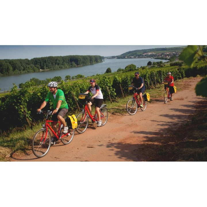 Eigene Anreise Pfälzer Weinsternfahrt: Radreise rund um Bad Dürkheim zwischen Weinreben und Rheinebene