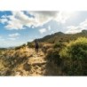 Rundreisen Portugal - Algarve: Küstenzauber und Naturpfade erwandern