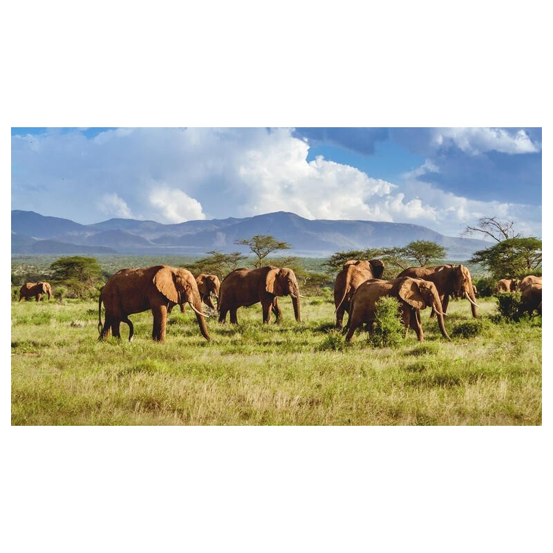 Rundreisen Kenia, Tansania & Sansibar: Kombinationsreise ab Mombasa mit Badeaufenthalt im Karafuu Beach Resort & SPA
