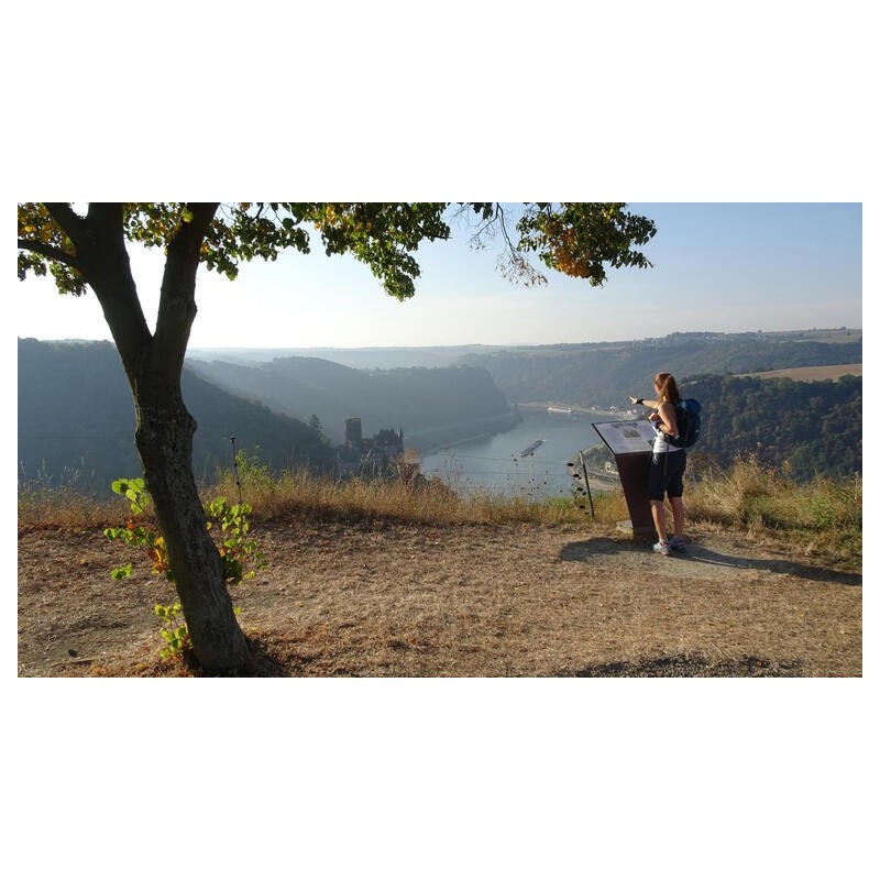 Eigene Anreise Rheinsteig: Historische Burgen, edle Weine, unvergessliche Aussichten