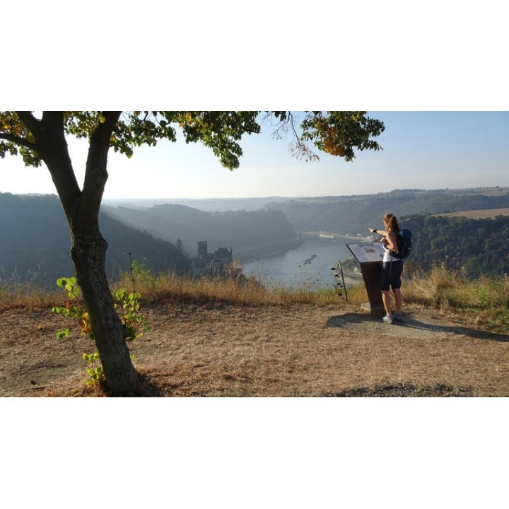 Eigene Anreise Rheinsteig: Historische Burgen, edle Weine, unvergessliche Aussichten