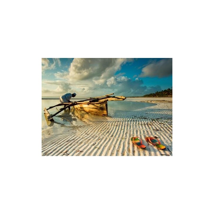 Rundreisen Sansibar & Tansania: Baden auf Sansibar & Standort-Rundreise im Africa Safari Camp Selous