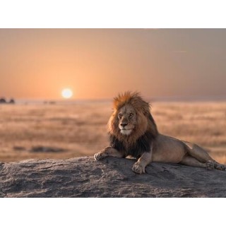 Rundreisen Kenia, Tansania & Sansibar: Kombinationsreise ab Mombasa mit Badeaufenthalt im Karafuu Beach Resort & SPA