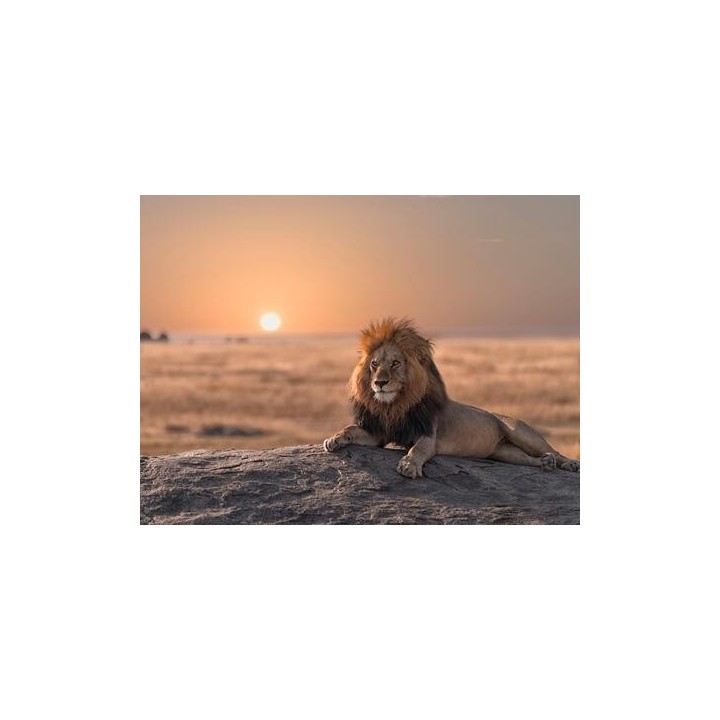 Rundreisen Kenia, Tansania & Sansibar: Kombinationsreise ab Mombasa mit Badeaufenthalt im Karafuu Beach Resort & SPA