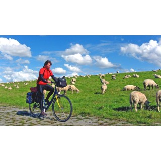 Eigene Anreise Ostfriesland und seine Inseln: Radreise ab/an Emden