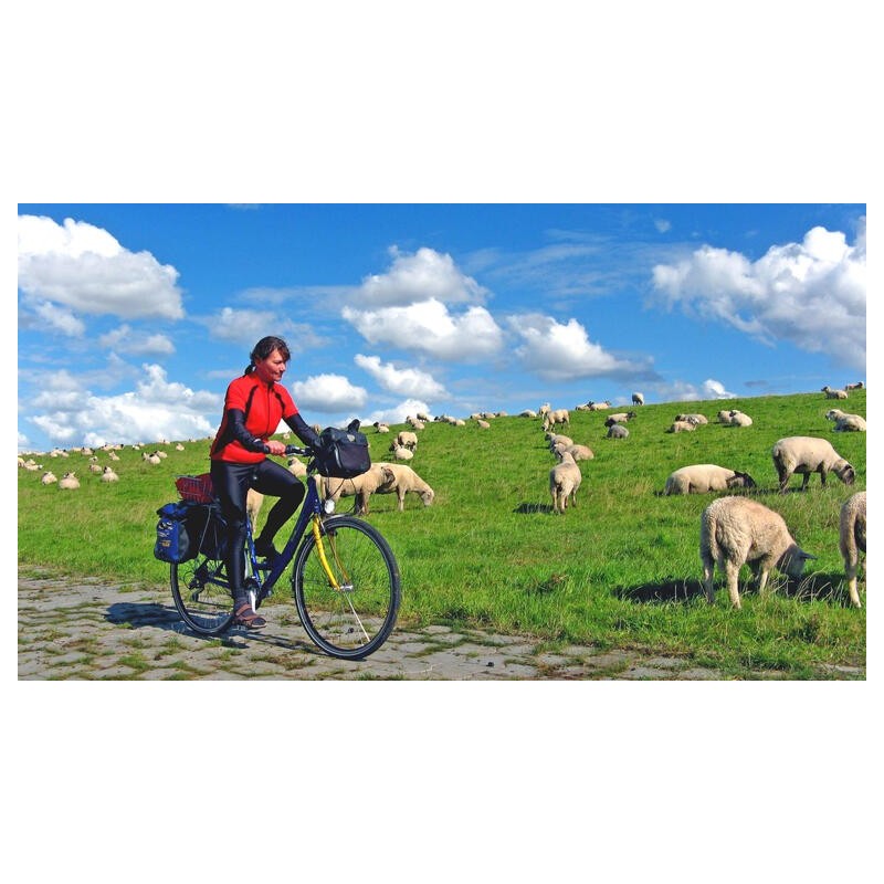 Eigene Anreise Ostfriesland und seine Inseln: Radreise ab/an Emden