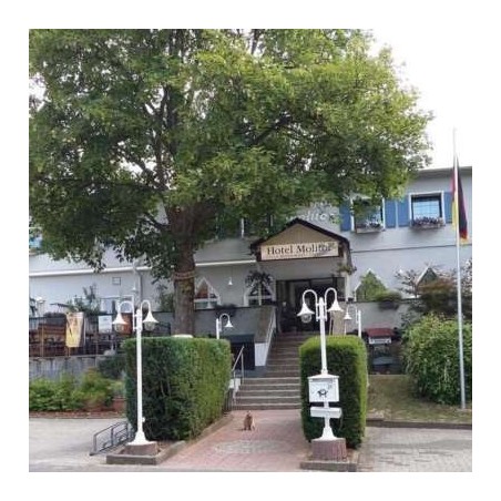 Hotel Molitor