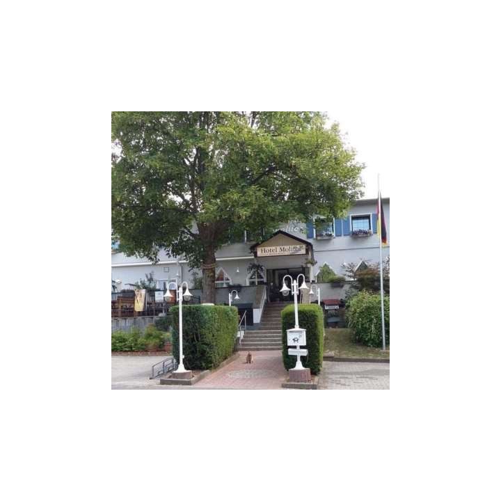 Hotel Molitor