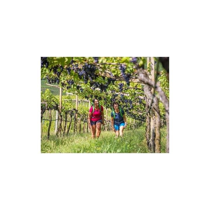 Eigene Anreise Italien - Valpolicella & Gardasee: Genüsslich wandern durch Weinberge zum Gardasee