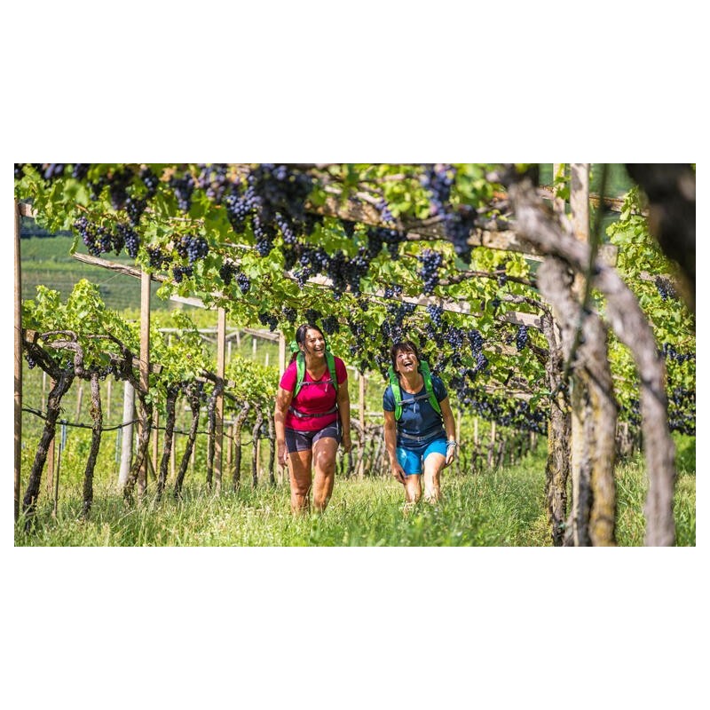 Eigene Anreise Italien - Valpolicella & Gardasee: Genüsslich wandern durch Weinberge zum Gardasee