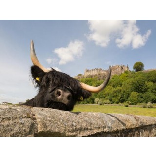 Rundreisen Schottland: Zauberhafte Highlands und verborgene Schätze