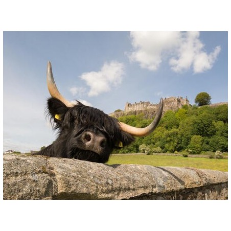Rundreisen Schottland: Zauberhafte Highlands und verborgene Schätze