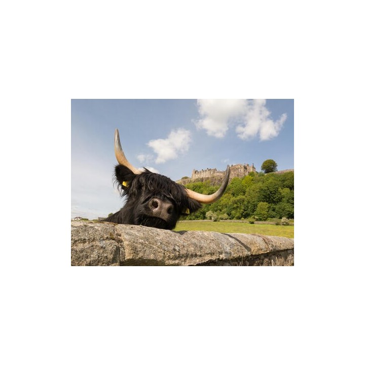 Rundreisen Schottland: Zauberhafte Highlands und verborgene Schätze