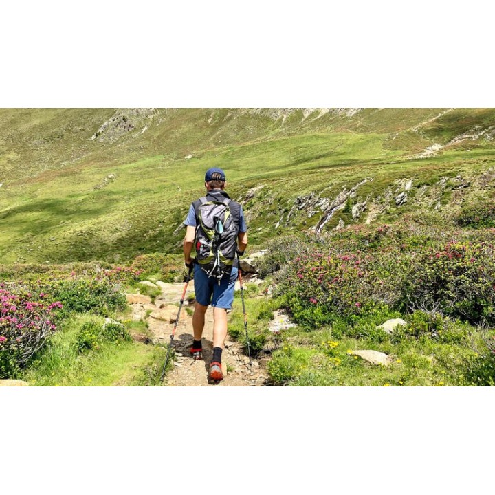 Eigene Anreise Italien - Südtirol: Atemberaubende Aussichten auf dem Wein- und Almenweg