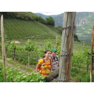 Eigene Anreise Italien - Südtirol: Atemberaubende Aussichten auf dem Wein- und Almenweg