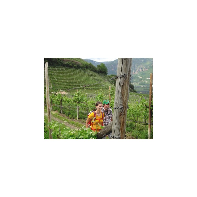 Eigene Anreise Italien - Südtirol: Atemberaubende Aussichten auf dem Wein- und Almenweg