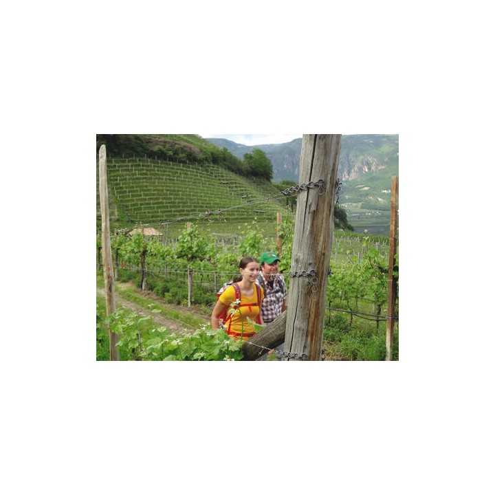 Eigene Anreise Italien - Südtirol: Atemberaubende Aussichten auf dem Wein- und Almenweg