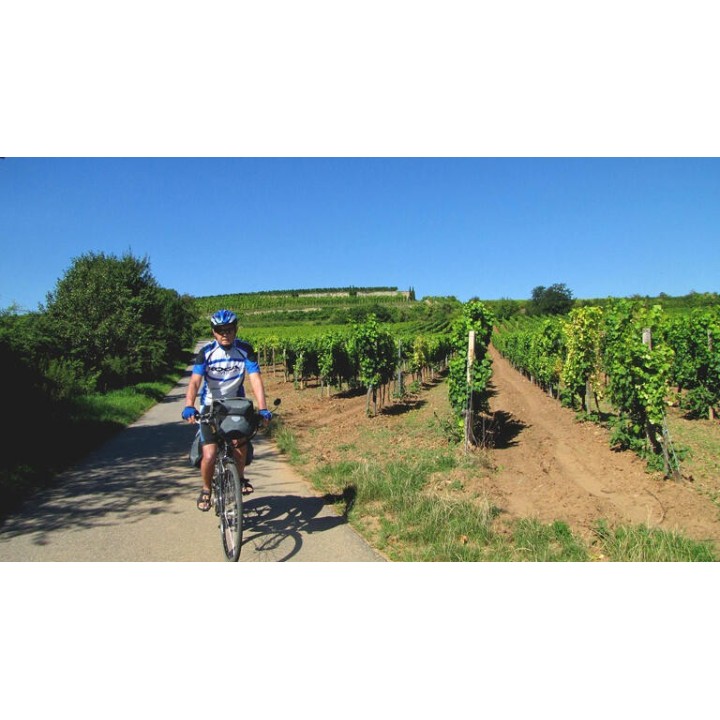 Eigene Anreise Rhein & Neckar: Radeln, wo Wein und Geschichte blühen