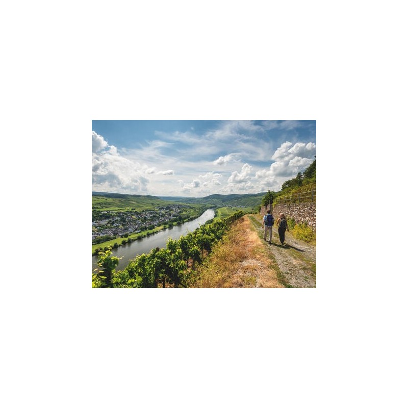 Eigene Anreise Moselsteig: Wandern vom Moselpanorama zum Rheinblick
