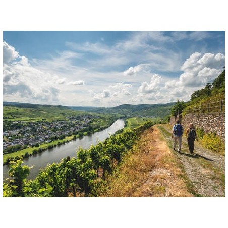 Eigene Anreise Moselsteig: Wandern vom Moselpanorama zum Rheinblick