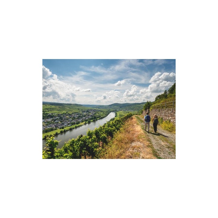 Eigene Anreise Moselsteig: Wandern vom Moselpanorama zum Rheinblick