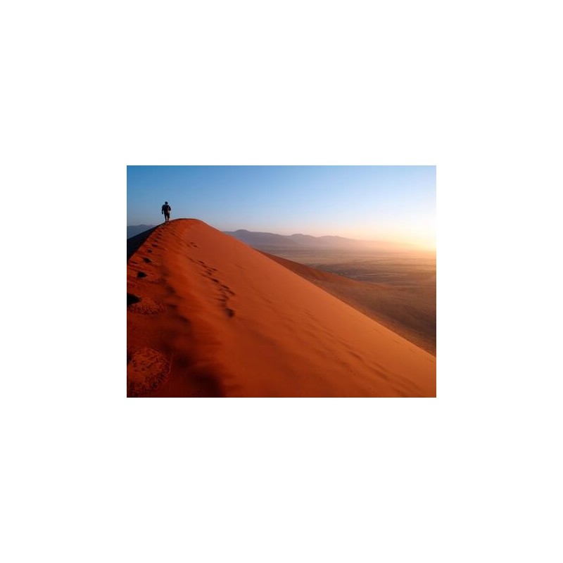 Rundreisen Namibia: Wildnis erleben: Von Dünen zu Savannen