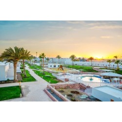 Solymar Reef Marsa