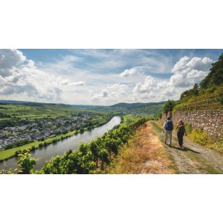 Eigene Anreise Moselsteig: Wandern vom Moselpanorama zum Rheinblick
