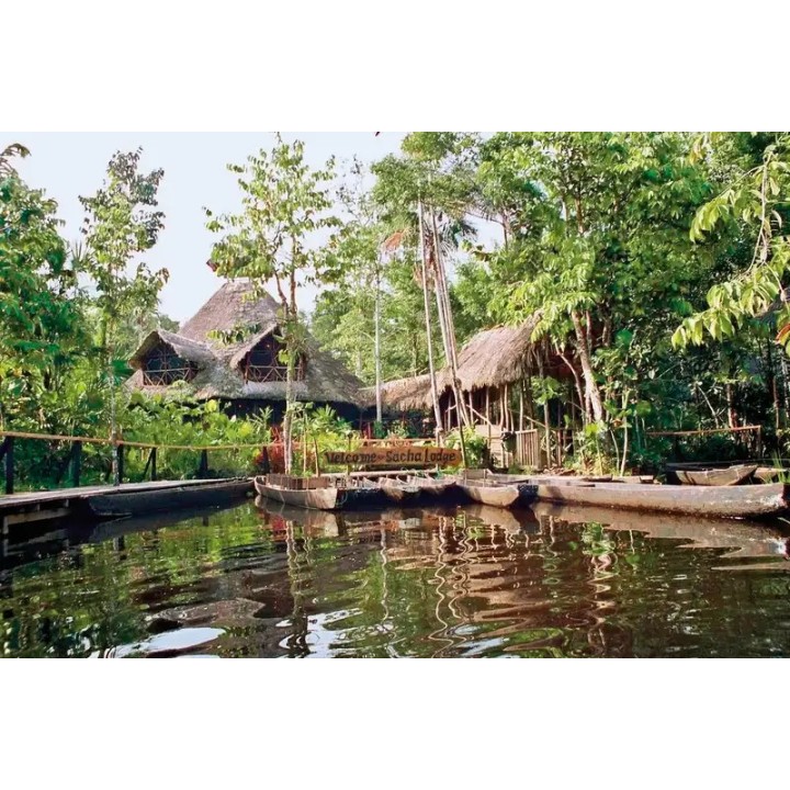 Abenteuer Amazonas - Sacha Lodge (4 Nächte)