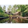 Abenteuer Amazonas - Sacha Lodge (4 Nächte)