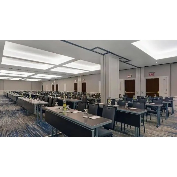 Embassy Suites by Hilton Chicago Downtown