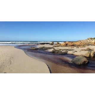 Hermanus Backpackers & Budget Accommodation