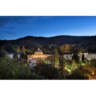 Maritim Hotel Bad Wildungen