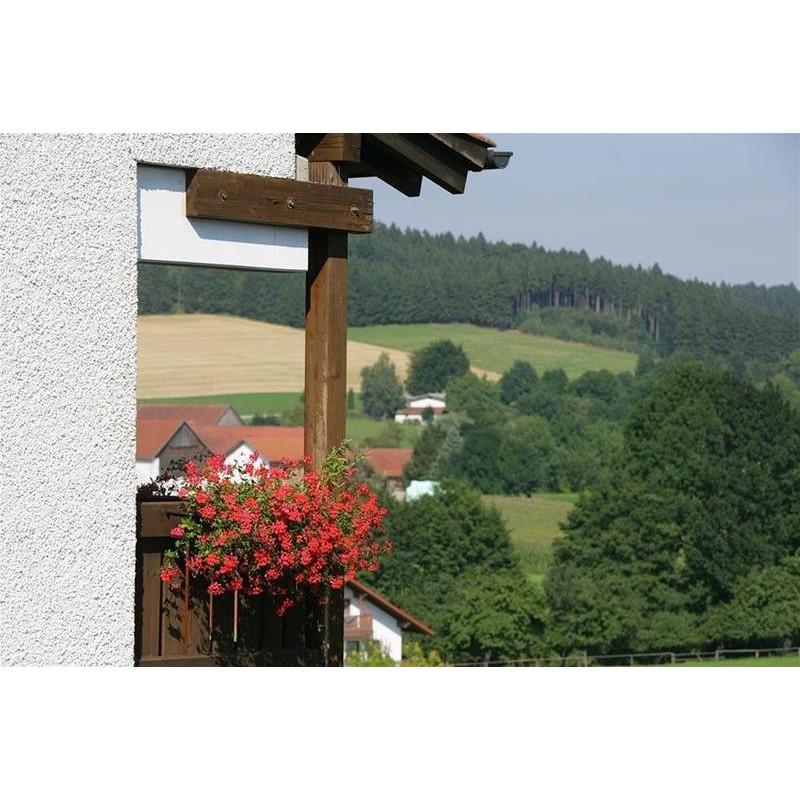 AktiVital Hotel