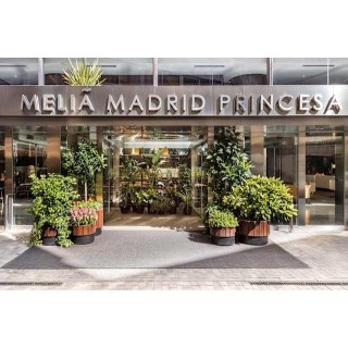 Hotel Melia Madrid Princesa
