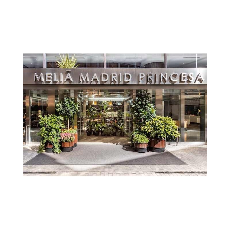 Hotel Melia Madrid Princesa
