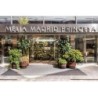 Hotel Melia Madrid Princesa