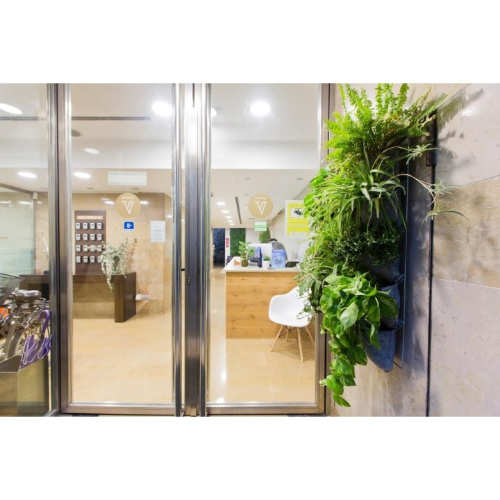 Chill Art Jardin Botanico