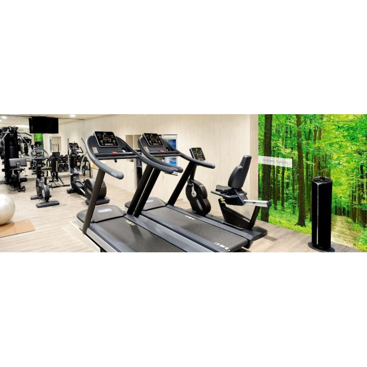 NH Madrid Parque Avenidas