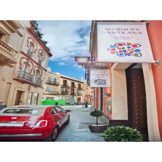 Petit Palace Marques Santa Ana