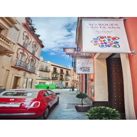 Petit Palace Marques Santa Ana